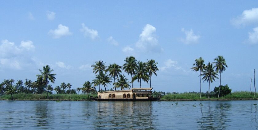 Houseboats floating on Vembanad Lake, the largest lake in India, surrounded by coconut trees