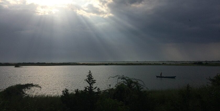 The picture of the beautiful Veeranam Lake in Tamil Nadu during the peak sunny hour