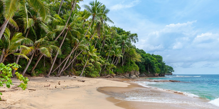 Calm waters and soft sands are perfect for family outings, among the best beaches in Russia.