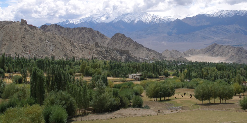 An image of landscape of Leh, a hill station in Himalayas with greenery and snow mountains