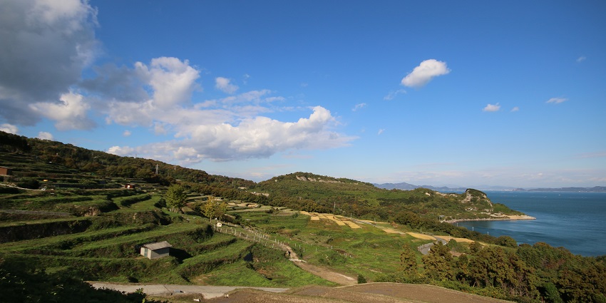 A stunning image of Teshima fields with serene view of the sea shoreline under a clear sky