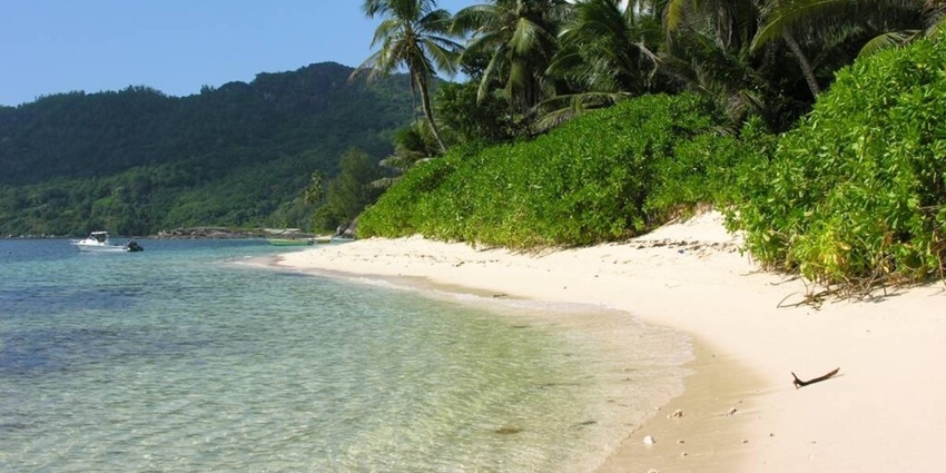 A calm view of Desroches Island, a secluded tropical paradise surrounded by coral reefs
