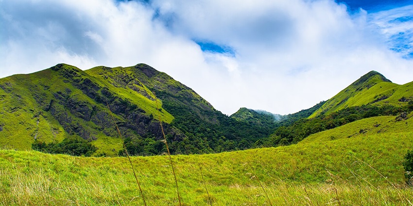 The top of the hills near the Chembra Lake, the heart shaped lake in India.