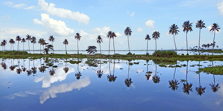 A stunning panoramic view of the Biggest Lake in India, surrounded by coconut trees.