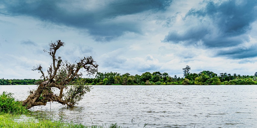 The city Bangalore is located in southern India, is situated in the state of Karnataka.
