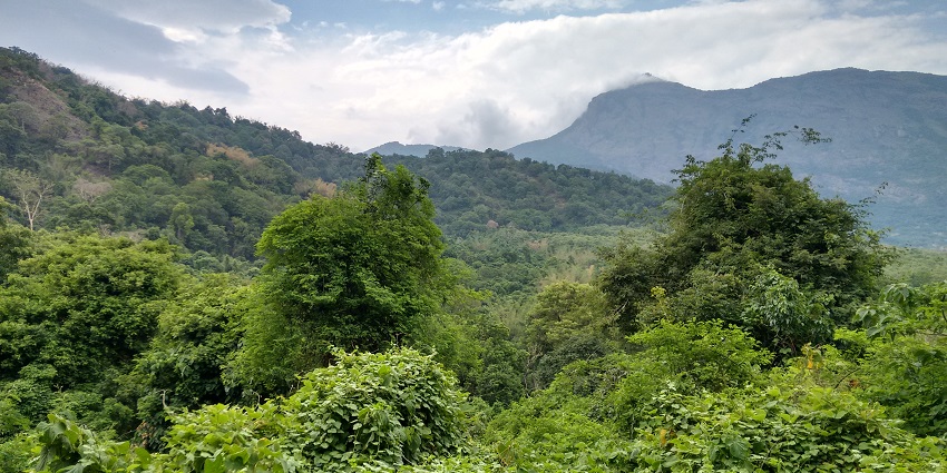 An image of Coimbatore with lush hills and valleys, which give the ideal terrain for trekking near Coimbatore.