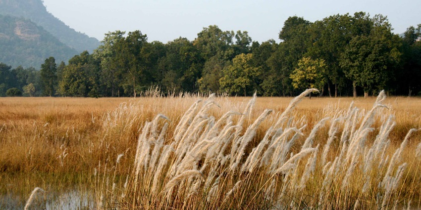 Bandhavgarh National Park offers stunning landscapes of Madhya Pradesh’s Umaria district.