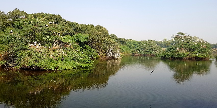 Unearth the secrets of centuries past at the historic Jajmau Fort