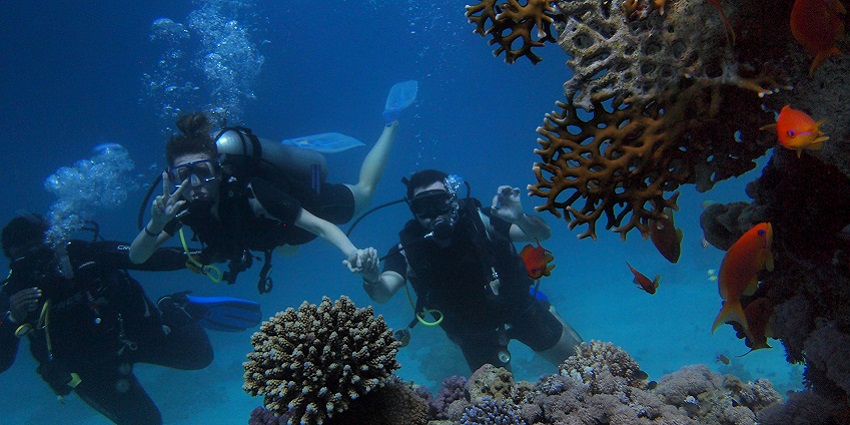 Bunch of first-time divers stunned by the beauty of the ocean beneath the general view