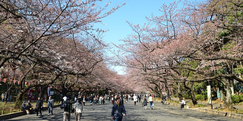Art Museum in Ueno Park, blending nature, history, and art.