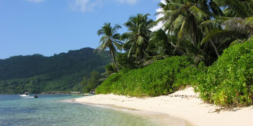 A pristine beach on Aride Island Nature Reserve with clear waters and lush greenery
