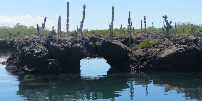 Stunning lava formations in the Galápagos national park offer crystal-clear waters.