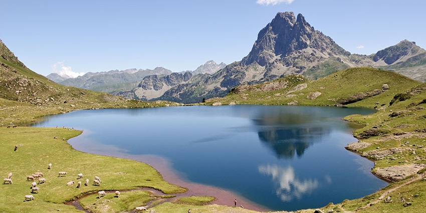 A herd of cattle graze near a beautiful lake that sits amid huge mountains.