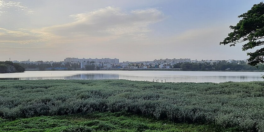 This image represents a peaceful sunset which creates a beautiful calm environment.
