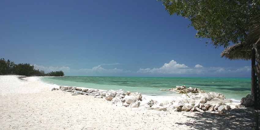 Stunning island beach with powdery sands and clear blue waters.