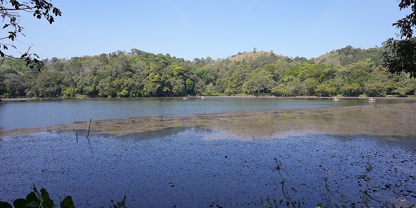 A breathtaking view of the sunrise over Mananthavady Lake, an unexplored destination.