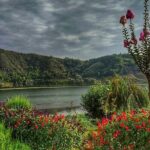 Manasbal Lake in Kashmir is surrounded by greenery with unique colourful flowers and distant hills.