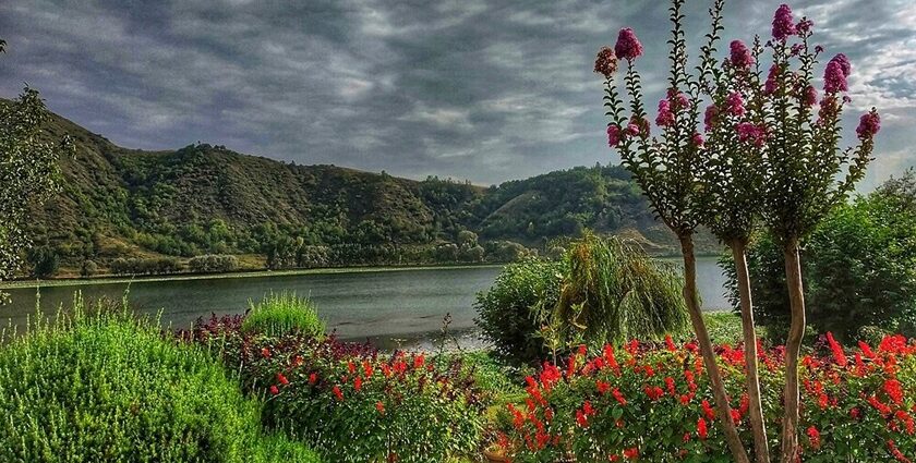 Manasbal Lake in Kashmir is surrounded by greenery with unique colourful flowers and distant hills.