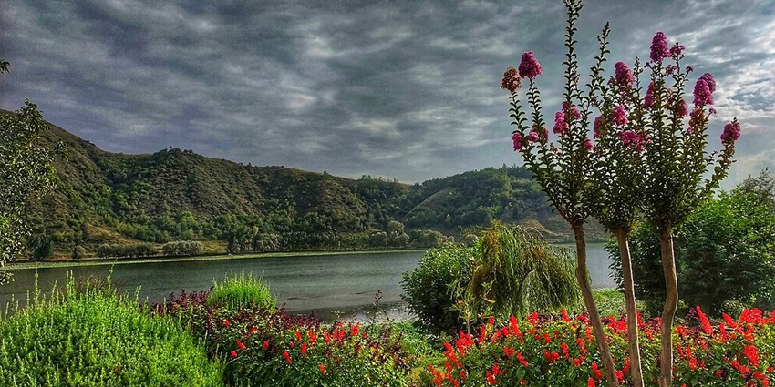 Manasbal Lake, with its view showing the surrounding hills and a lush lotus garden.