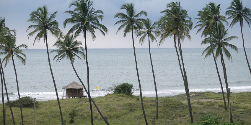 An image of the calm Mandrem beach, with palm trees and a hut with waves on the shoreline