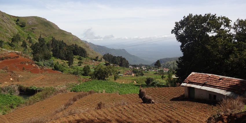 An image of scenic views on the road resembling the route from Mangalore to Gokarna.