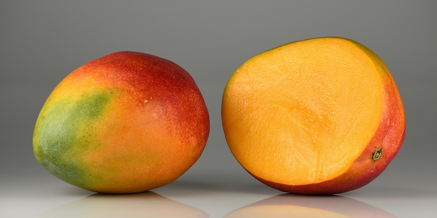 Mango festival is one of the best festivals in Haryana.
