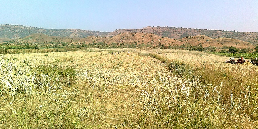 A majestic hill station in Central India with a vast cover of lush greenery and agriculture farms.