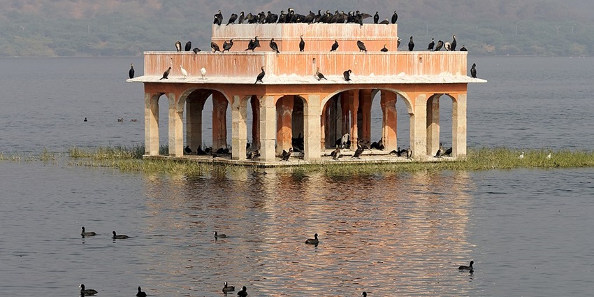 An image of Man Sagar Lake in Jaipur with calm waters, Jal Mahal, and surrounding hills