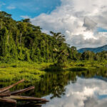 Manu National Park boasts lush rainforests, lake view, and breathtaking Amazonian landscapes.