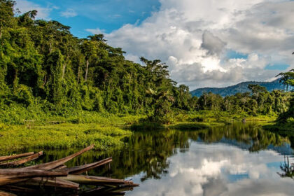 Manu National Park boasts lush rainforests, lake view, and breathtaking Amazonian landscapes.