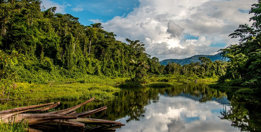 Manu National Park boasts lush rainforests, lake view, and breathtaking Amazonian landscapes.