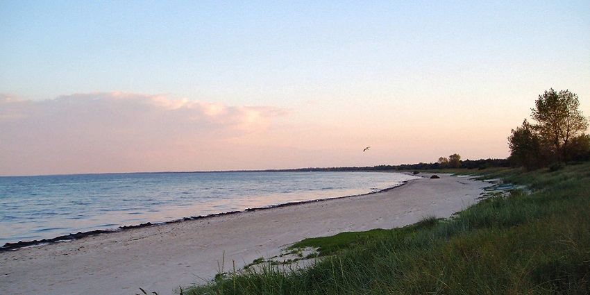 An image of Marielyst Beach with clear blue waters and sandy shores surrounded by greenery.