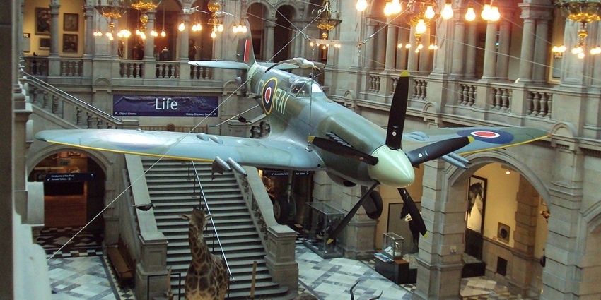 Admire an iconic WWII aircraft up close.