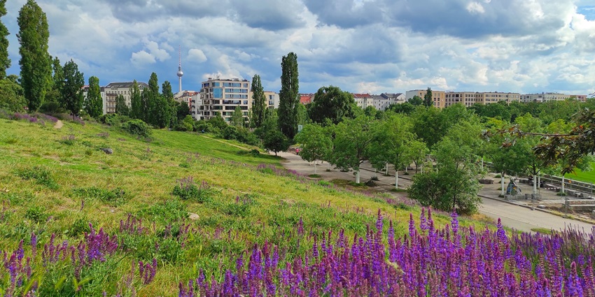Mauerpark is one of the best places to visit in Berlin on your next vacation.