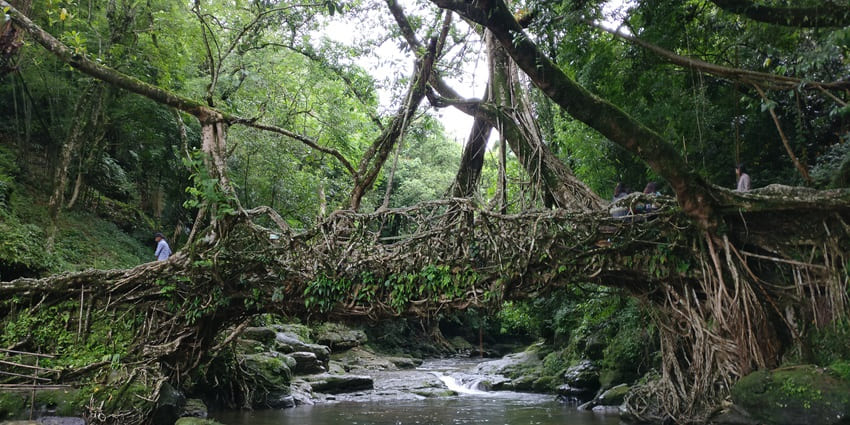 A glimpse of Mawlynnong, a village in the east Khasi Hills of Meghalaya, India.