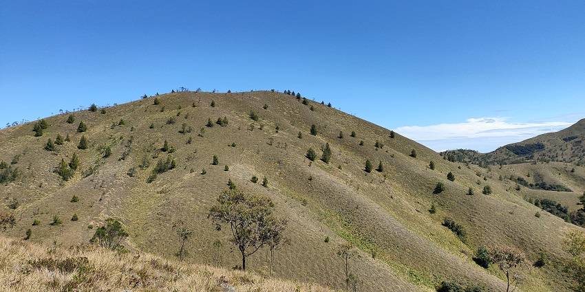 An image of the Meesapulimala trek, one of the trails for trekking in South India.