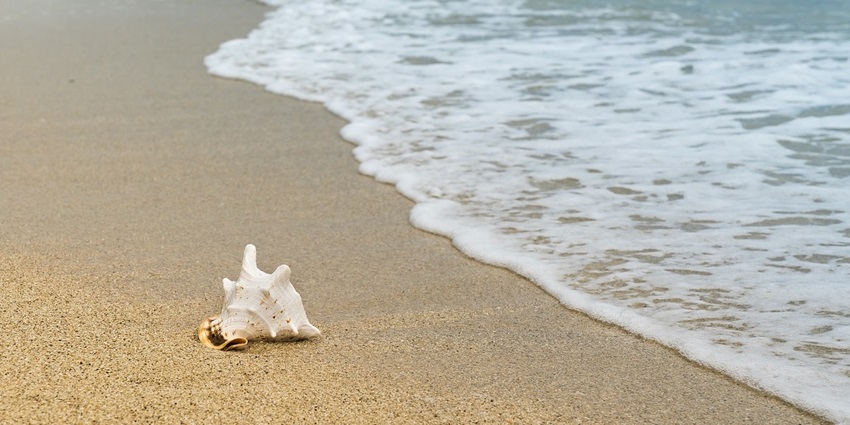 An image resembling Minicoy Thundi, one of the popular beaches.