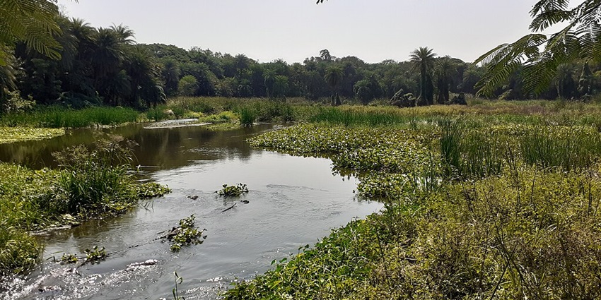 An image of Historic Mir Alam Tank in Hyderabad, offering a peaceful environment.