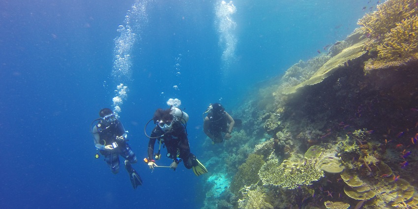 Moalboal is the famous site for Scuba Diving in Philippines and is home to the sardine run and diverse marine life.