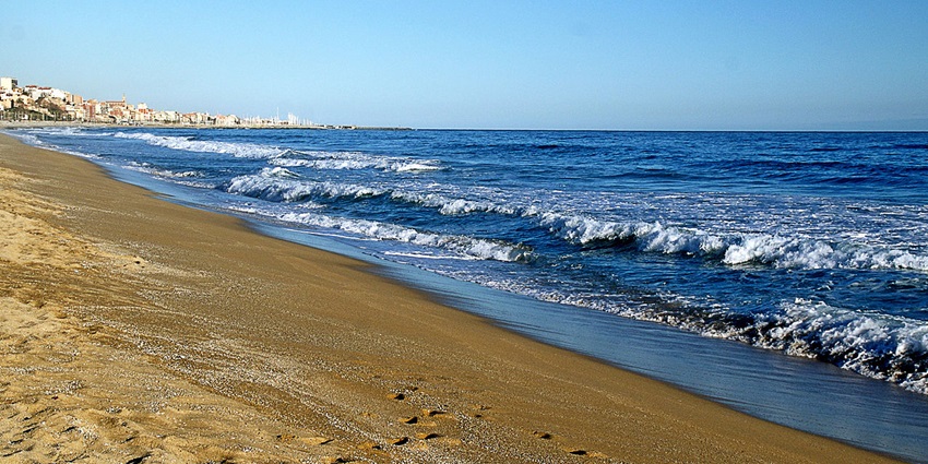 Spot sea bass and moray eels with Scuba Diving in Barcelona fun