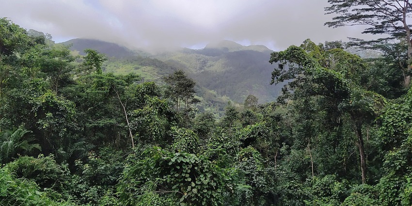 Diverse landscapes with dense jungle and breathtaking viewpoints.