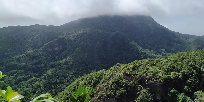 An image of dense rainforest and mountain trails offering breathtaking panoramic views
