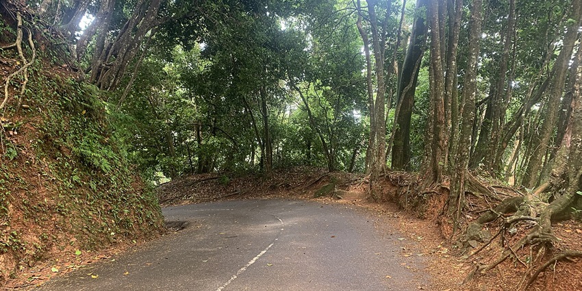 Places to visit in Seychelles include a lush tropical forest with scenic hiking trails and wildlife