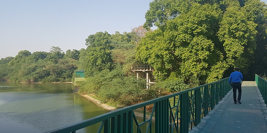 A man walks on a bridge built over a lake in the Kanpur Zoological Park in Uttar Pradesh.