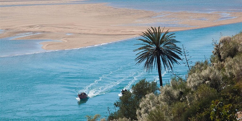 Peaceful shores perfect for nature and bird lovers.