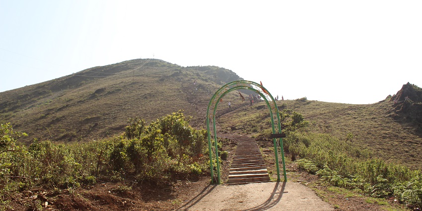 An image of the Mullayanagiri hilltop trail with stone steps, vegetation, and hikers trekking in south India.