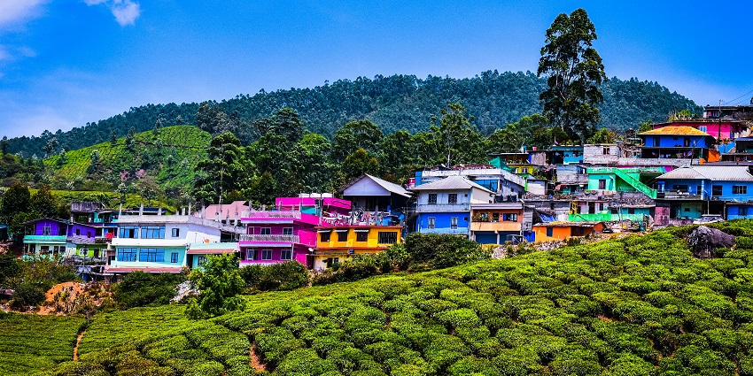 An image of the stunning landscape of Munnar, one of the best places to visit in India for couples.