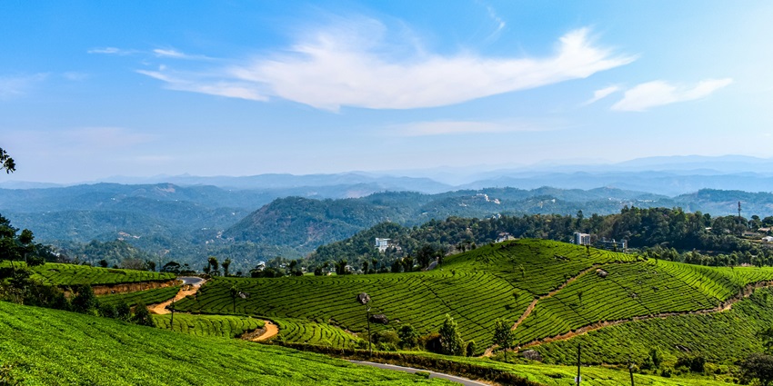 One of the unique places to visit in July in South India is Munnar in Kerala.