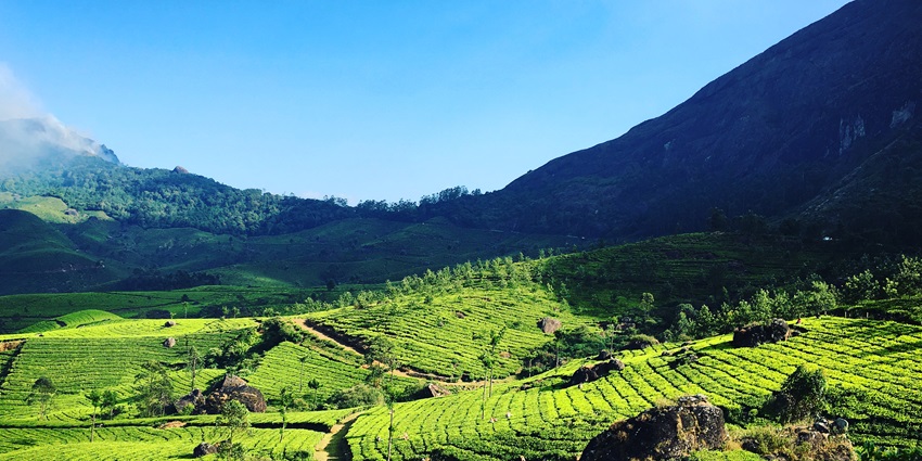 Munnar’s rolling tea gardens shine in April, offering a refreshing escape.
