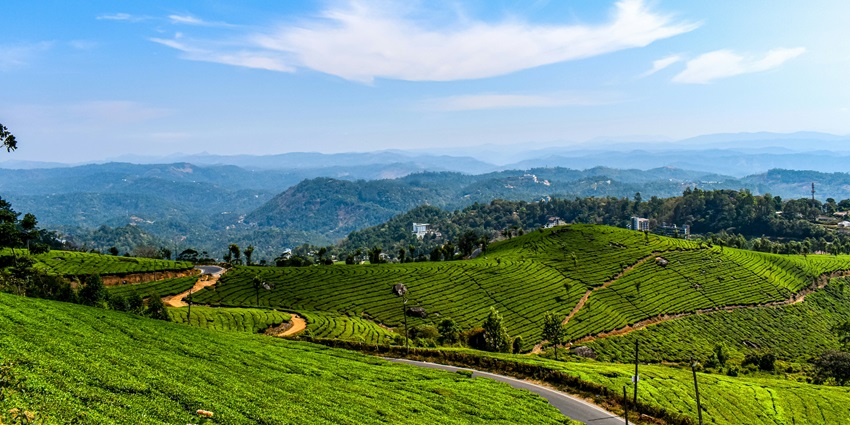 Enjoy the pleasant weather of Munnar, one of the places to visit in May in South India.